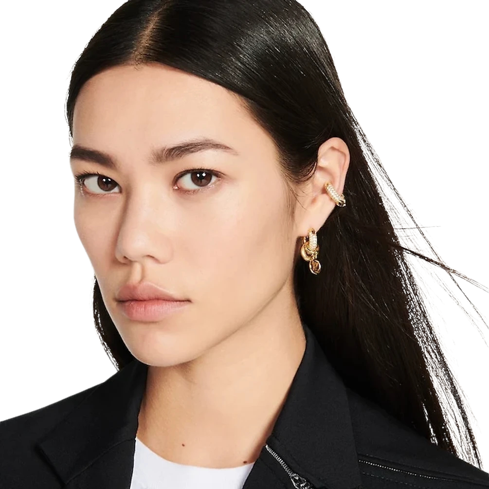 Louis Vuitton 2023 Cruise Louise hoop earrings in 2023  Women accessories  jewelry, Louis vuitton, Women accessories