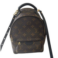 Load image into Gallery viewer, Louis Vuitton Palm Springs Mini Backpack