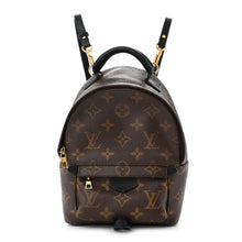 Load image into Gallery viewer, Louis Vuitton Palm Springs Mini Backpack