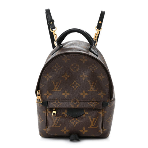 Louis Vuitton Palm Springs Mini Backpack