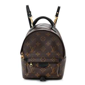 Louis Vuitton Palm Springs Mini Backpack