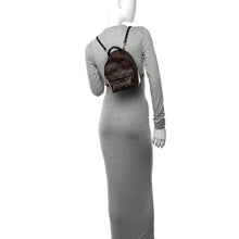 Load image into Gallery viewer, Louis Vuitton Palm Springs Mini Backpack