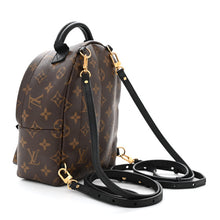 Load image into Gallery viewer, Louis Vuitton Palm Springs Mini Backpack