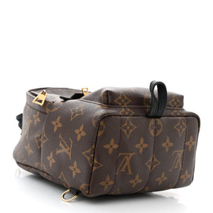 Louis Vuitton Palm Springs Mini Backpack