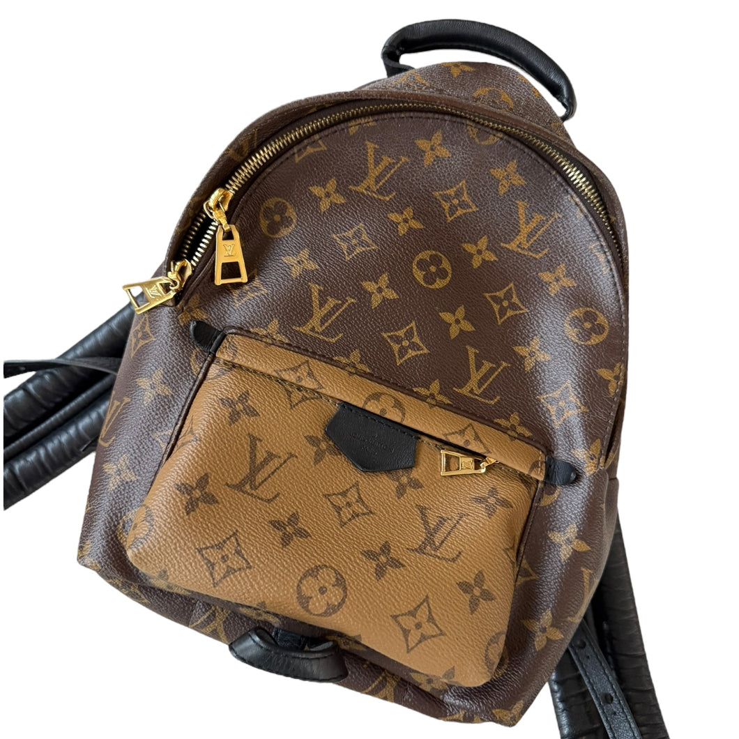 Louis Vuitton Palm Springs PM Reverse