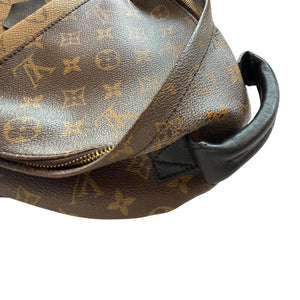 Louis Vuitton Palm Springs PM Reverse