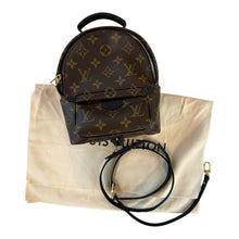 Load image into Gallery viewer, Louis Vuitton Palm Springs Mini Backpack