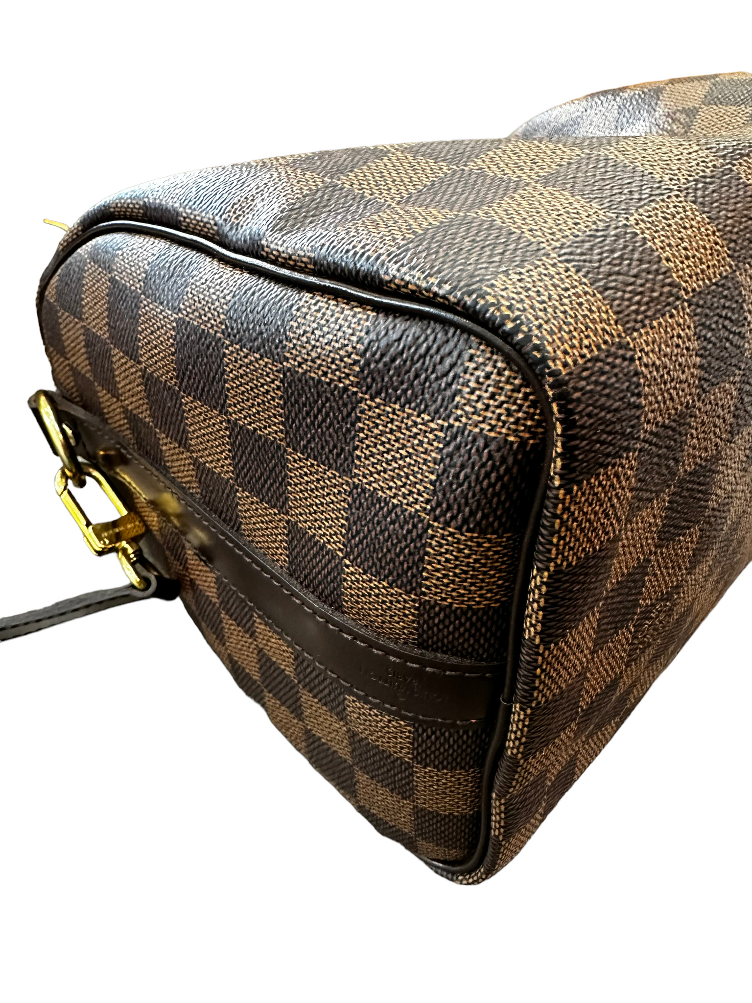 Louis Vuitton Pillow Speedy 25 Bandouliere Bag