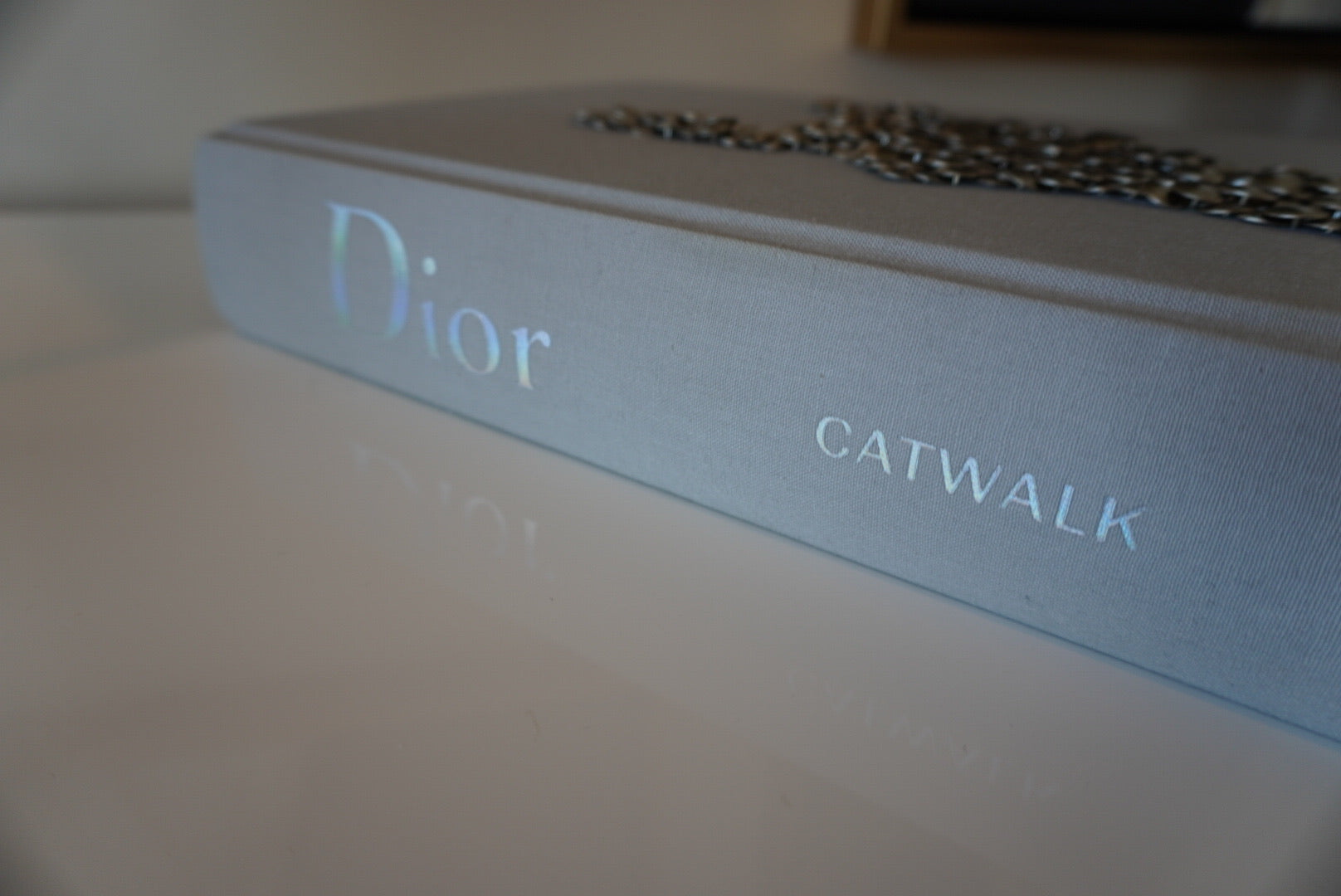 Rockstud Dior Catwalk Book – The Bag Broker